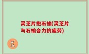 灵芝片抱石榆(灵芝片与石榆合力抗疲劳)