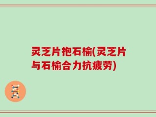 灵芝片抱石榆(灵芝片与石榆合力抗疲劳)