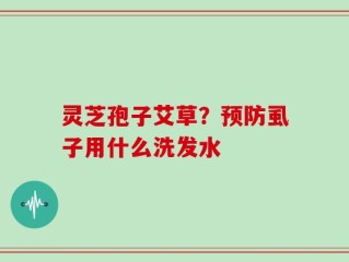 灵芝孢子艾草？预防虱子用什么洗发水