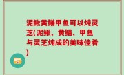 泥鳅黄鳝甲鱼可以炖灵芝(泥鳅、黄鳝、甲鱼与灵芝炖成的美味佳肴)