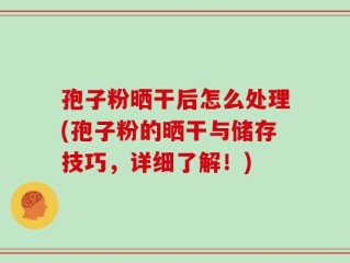 孢子粉晒干后怎么处理(孢子粉的晒干与储存技巧，详细了解！)