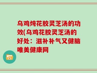 乌鸡炖花胶灵芝汤的功效(乌鸡花胶灵芝汤的好处：滋补补气又健脑唯美健康网