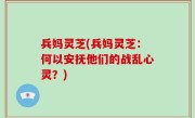 兵妈灵芝(兵妈灵芝：何以安抚他们的战乱心灵？)