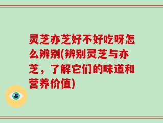 灵芝亦芝好不好吃呀怎么辨别(辨别灵芝与亦芝，了解它们的味道和营养价值)