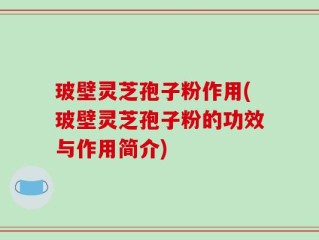 玻壁灵芝孢子粉作用(玻壁灵芝孢子粉的功效与作用简介)