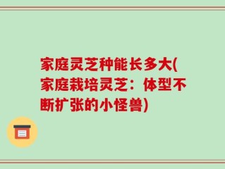 家庭灵芝种能长多大(家庭栽培灵芝：体型不断扩张的小怪兽)