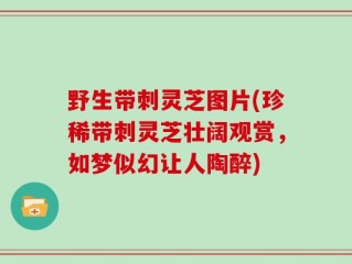 野生带刺灵芝图片(珍稀带刺灵芝壮阔观赏，如梦似幻让人陶醉)