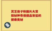 灵芝孢子粉图片大赏 探秘神奇保健品背后的健康奥秘