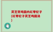 灵芝煲鸡圆内红枣杞子(红枣杞子灵芝鸡圆汤)