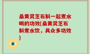 桑黄灵芝石斛一起煮水喝的功效(桑黄灵芝石斛煮水饮，具众多功效)