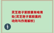 灵芝孢子紫胶囊有啥用处(灵芝孢子紫胶囊的功效与作用解析)