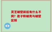 灵芝破壁前后有什么不同？孢子粉破壳与破壁区别