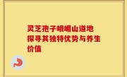 灵芝孢子峨嵋山道地 探寻其独特优势与养生价值