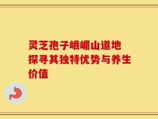灵芝孢子峨嵋山道地 探寻其独特优势与养生价值