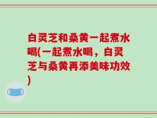 白灵芝和桑黄一起煮水喝(一起煮水喝，白灵芝与桑黄再添美味功效)