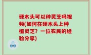 硬木头可以种灵芝吗视频(如何在硬木头上种植灵芝？一位农民的经验分享)