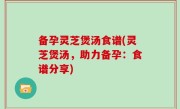 备孕灵芝煲汤食谱(灵芝煲汤，助力备孕：食谱分享)