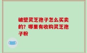 破壁灵芝孢子怎么买卖的？哪里有收购灵芝孢子粉