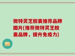 微特灵芝胶囊推荐品牌图片(推荐微特灵芝胶囊品牌，提升免疫力)