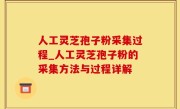 人工灵芝孢子粉采集过程_人工灵芝孢子粉的采集方法与过程详解