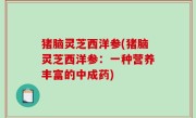 猪脑灵芝西洋参(猪脑灵芝西洋参：一种营养丰富的中成药)