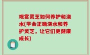 观赏灵芝如何养护和浇水(学会正确浇水和养护灵芝，让它们更健康成长)