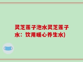 灵芝莲子泡水灵芝莲子水：饮用暖心养生水)