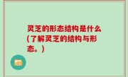 灵芝的形态结构是什么(了解灵芝的结构与形态。)