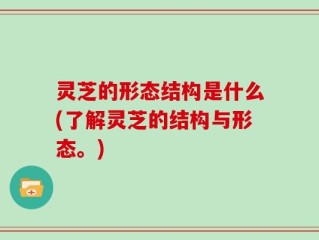 灵芝的形态结构是什么(了解灵芝的结构与形态。)