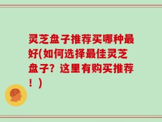 灵芝盘子推荐买哪种最好(如何选择最佳灵芝盘子？这里有购买推荐！)