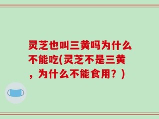 灵芝也叫三黄吗为什么不能吃(灵芝不是三黄，为什么不能食用？)