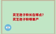 灵芝孢子粉长在哪点？灵芝孢子粉哪里产