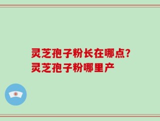 灵芝孢子粉长在哪点？灵芝孢子粉哪里产