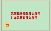灵芝粗多糖起什么作用？血灵芝有什么作用