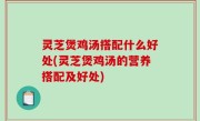 灵芝煲鸡汤搭配什么好处(灵芝煲鸡汤的营养搭配及好处)