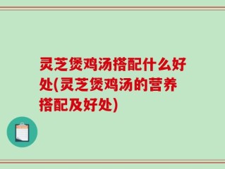 灵芝煲鸡汤搭配什么好处(灵芝煲鸡汤的营养搭配及好处)