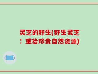 灵芝的野生(野生灵芝：重拾珍贵自然资源)