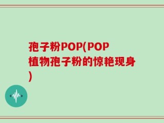 孢子粉POP(POP植物孢子粉的惊艳现身)