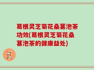 葛根灵芝菊花桑葚泡茶功效(葛根灵芝菊花桑葚泡茶的健康益处)
