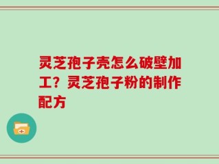 灵芝孢子壳怎么破壁加工？灵芝孢子粉的制作配方