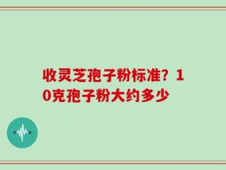 收灵芝孢子粉标准？10克孢子粉大约多少