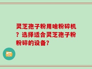 灵芝孢子粉用啥粉碎机？选择适合灵芝孢子粉粉碎的设备？