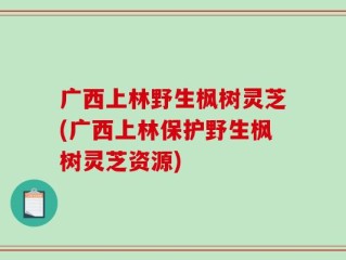 广西上林野生枫树灵芝(广西上林保护野生枫树灵芝资源)