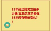15年的盆栽灵芝值多少钱(盆栽灵芝价格在15年间有哪些变化？)
