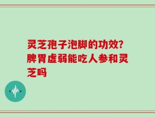 灵芝孢子泡脚的功效？脾胃虚弱能吃人参和灵芝吗