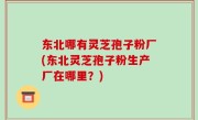 东北哪有灵芝孢子粉厂(东北灵芝孢子粉生产厂在哪里？)