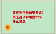 灵芝孢子粉破壁鉴定？灵芝孢子粉破壁99%什么意思