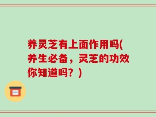 养灵芝有上面作用吗(养生必备，灵芝的功效你知道吗？)