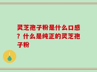 灵芝孢子粉是什么口感？什么是纯正的灵芝孢子粉