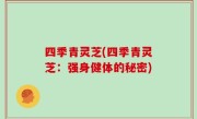 四季青灵芝(四季青灵芝：强身健体的秘密)